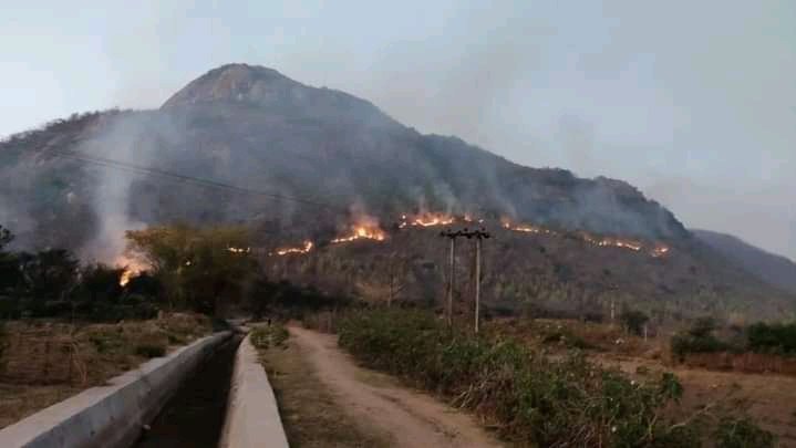 #prayforajodhya
#SaveAjodhyaHills 
#stopforestfire 
#stopforestdestruction 
@TourismBengal @HomeBengal @MamataOfficial @PMOIndia