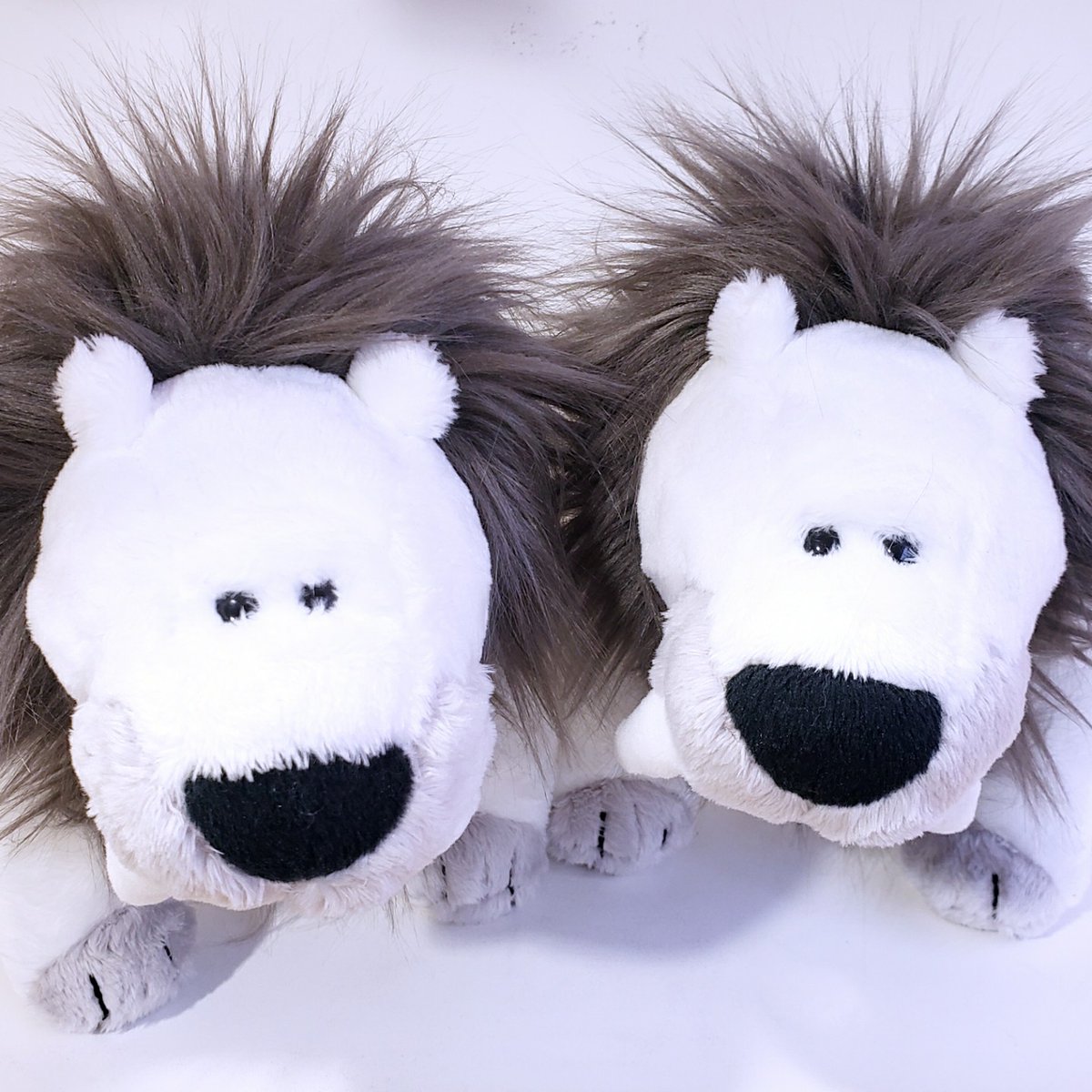 Nici Japan Nicijapan Twitter Nici Japan Nicijapan Twitter