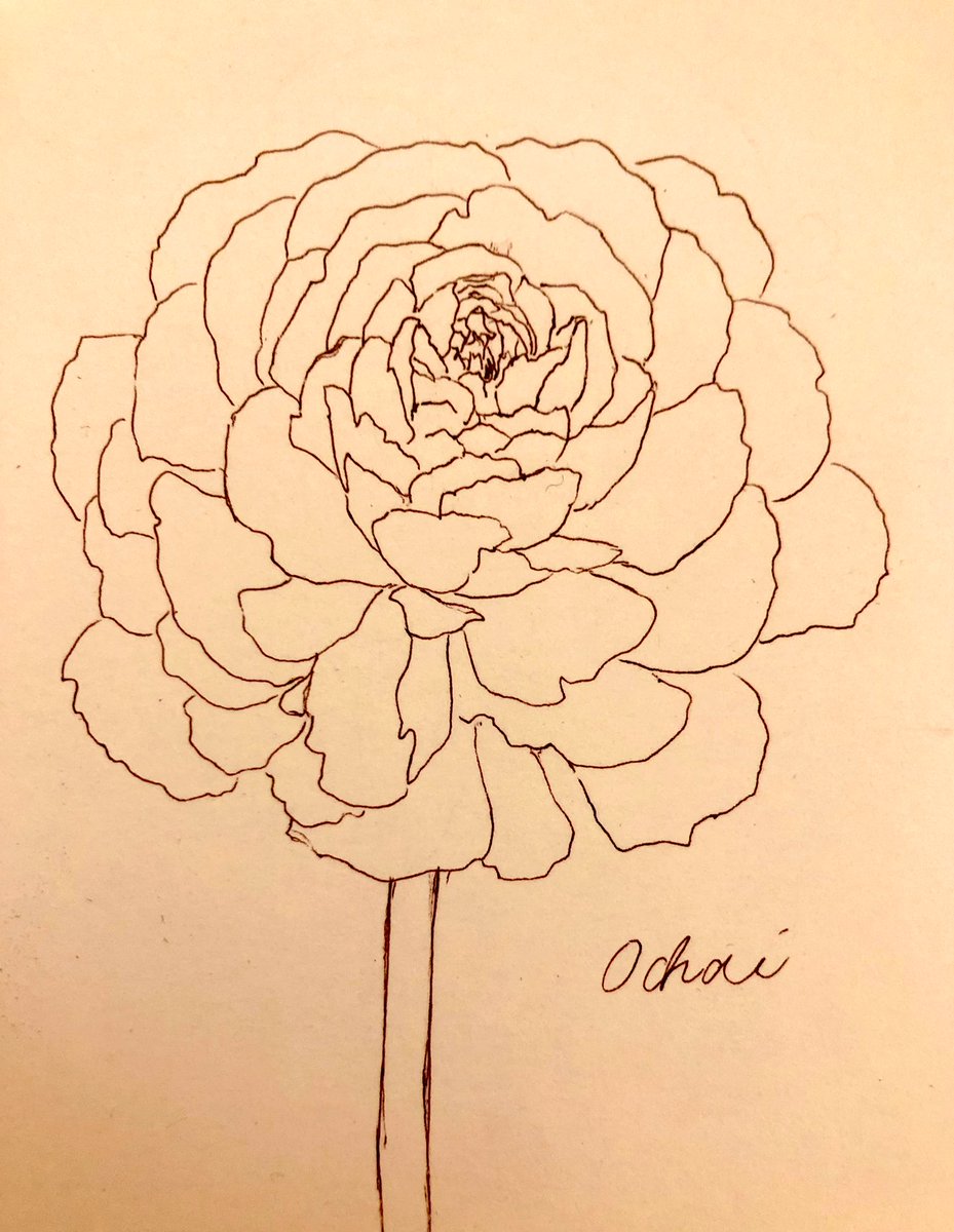 Ochai 文房堂アワード同志社賞 受賞 ありがとうございました 春の花 ラナンキュラス 花言葉は とても魅力的 光輝を放つ 輝かしい魅力 純潔 魅力溢れる 優しい心遣い 名声 名誉 晴れやかな魅力 様々な意味がありますね Ochai 文房堂アワード同志社賞 受賞 ありがとうございました 春の花 ラナンキュラス 花言葉は とても魅力的 光輝を放つ 輝かしい魅力 純潔 魅力溢れる 優しい心遣い 名声 名誉 晴れやかな魅力 様々な意味がありますね
