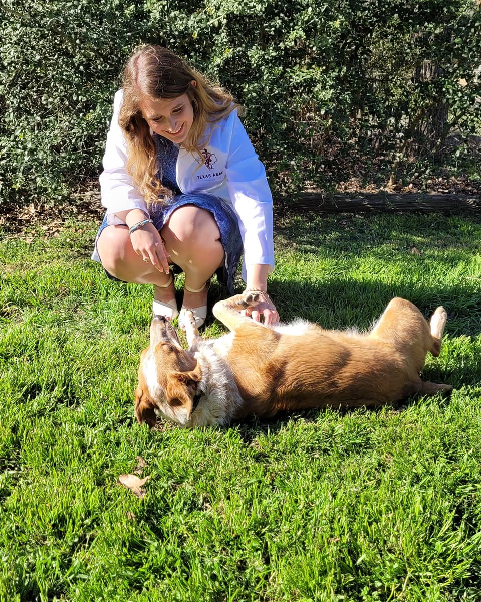 Dani 🦁🐆 tweet media