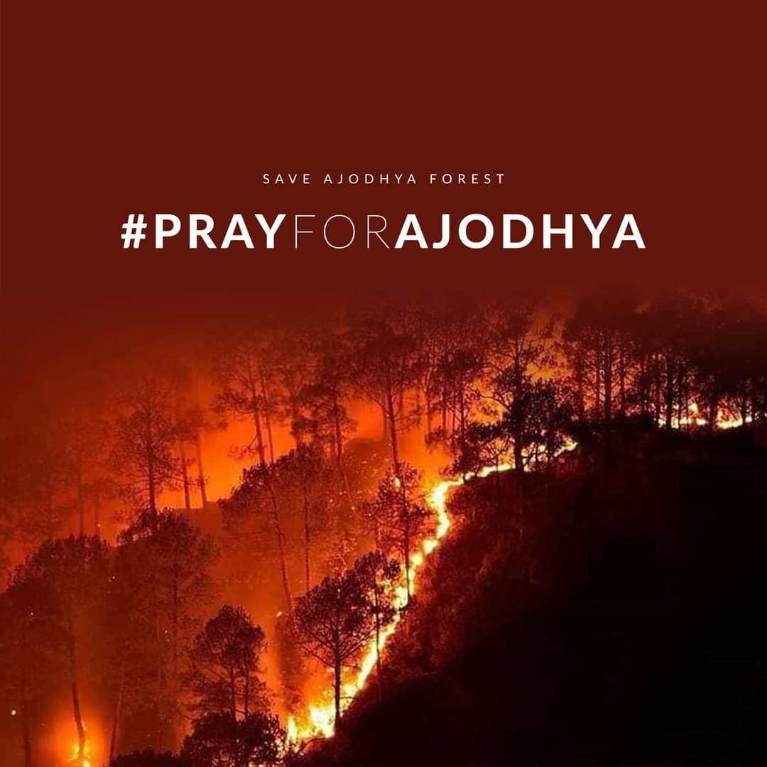 Kai_Atulmagar's tweet photo. Ajodhya is burning,our mother nature is burning for 5 days straight but nither state govt nor Central govt is showing any effort to put out the fire...will it be reason of poriborton in #Jangalmahal in this season of election
#prayforAjodhya
#WestBengalElections2021
#purulia https://t.co/U8HghSgYCx
