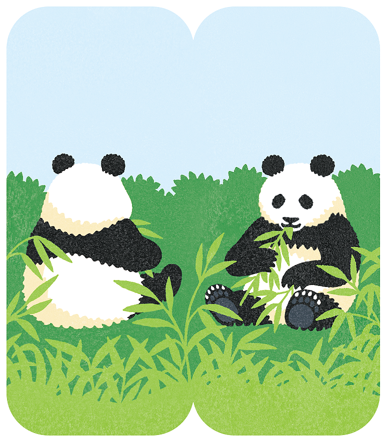 寺山武士 先日 キングジムさんから発売された フタマタフセン イラストタイプ で描かせていただいた動物たち 後ろ姿がかわいいです パンダ パンダ 付箋 フタマタフセン キングジム Illustration イラストレーション イラスト T Co