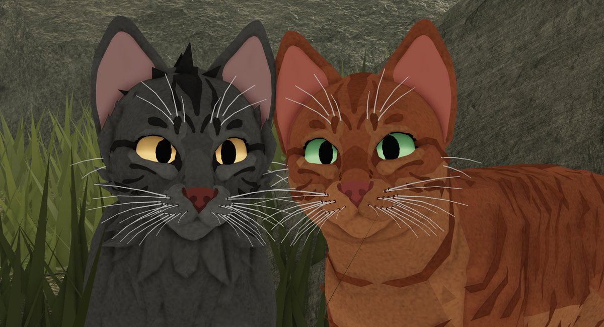 Roblox Warrior Cats Ultimate Edition Morphs