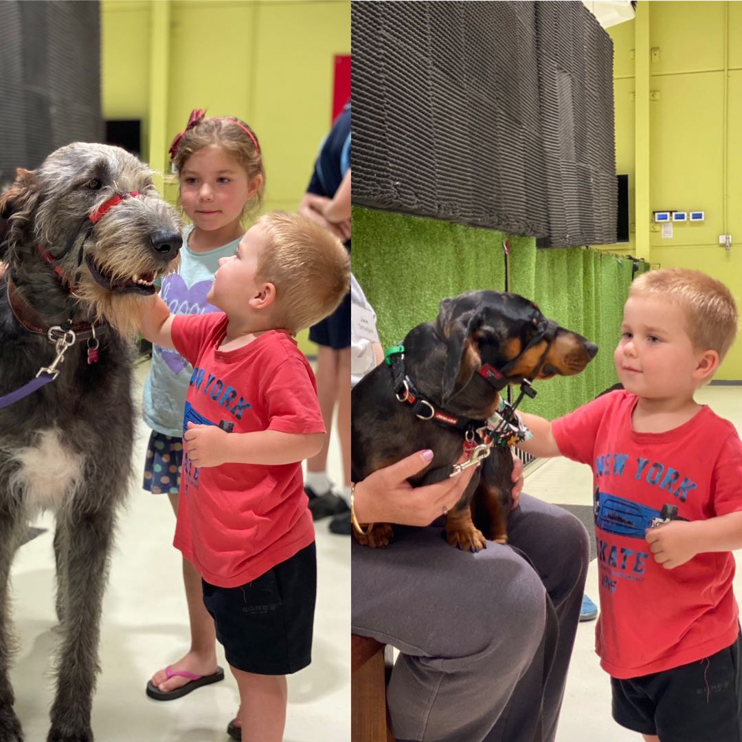 LeadTheWayAust's tweet image. No matter if your #therapydog is great or small, they are loved equally!  Train now with #leadthewayinstitute. Find out more at Therapy Dog and Handler Training and Certification Overview – Lead The Way Institute ecs.page.link/NFyYG