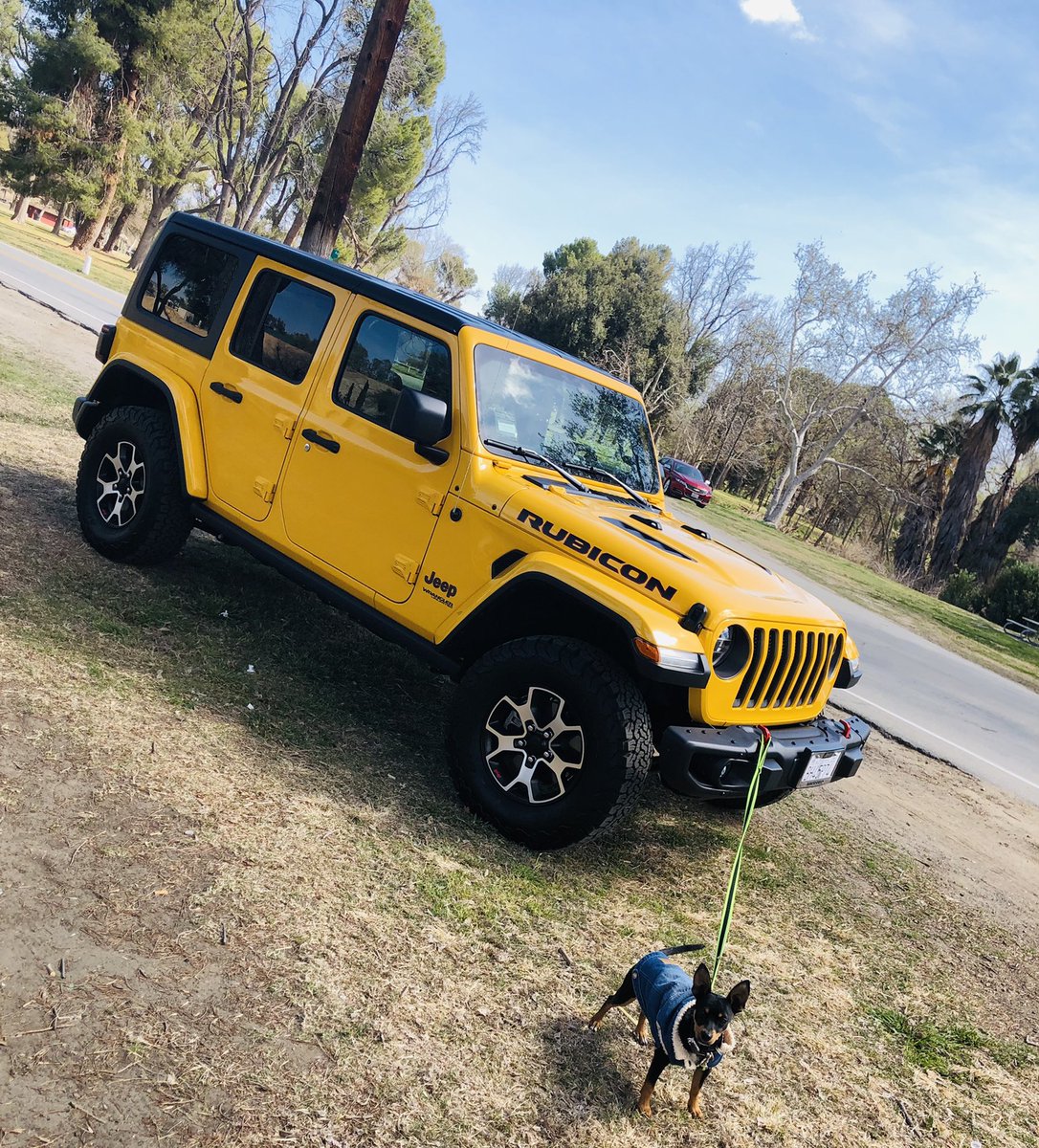DavidSaidSo's tweet photo. #hellayella #JeepLife #JeepFamily #rubicon #JL #picoftheday #weekendvibes #SaturdayMotivation https://t.co/m8PUNxjgzq
