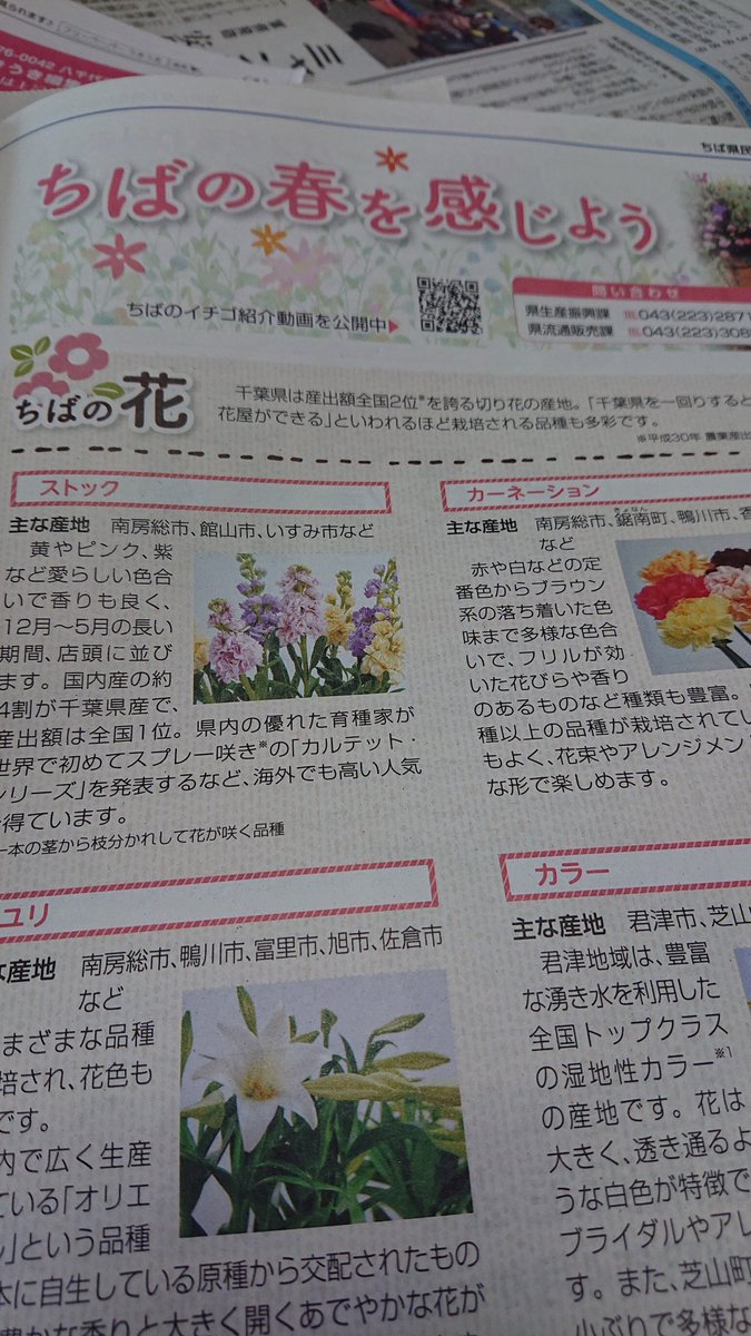 ちば県民だより ちば県民だより