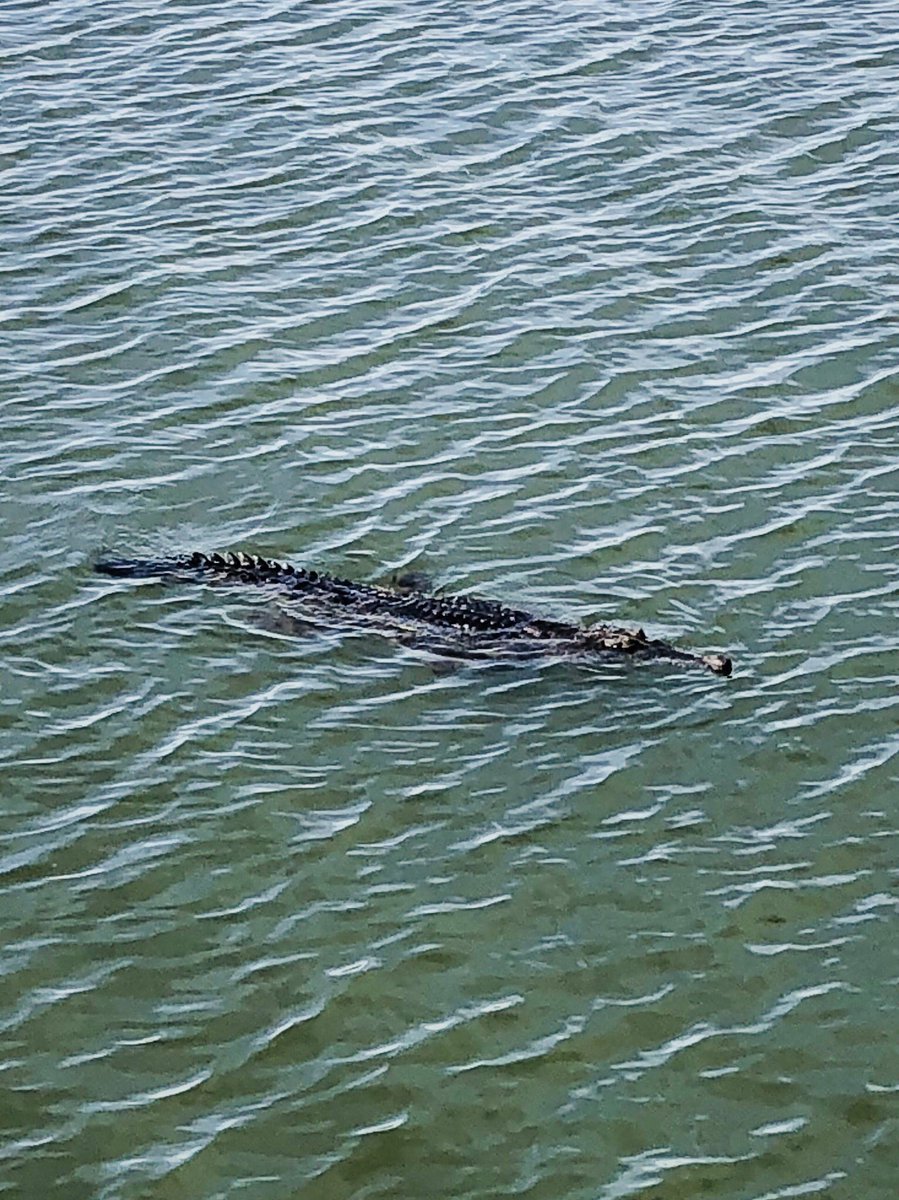 Hoping someone shares their breakfast at the Pumphouse restaurant.