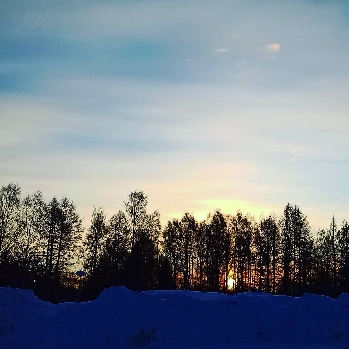 hilkkalaronia's tweet photo. #aamukuva #pyhäaamu #oulu #finnland #huomentamaailma🌎 #maaliskuu #ihanaaamu #rakkauttajaenergiaa #iloajaleikkiä #mielenvoimia #maailmaonkaunisjahyvä #puspus #kiitoskosoot #🥰🐩 https://t.co/iohGSOJrDN