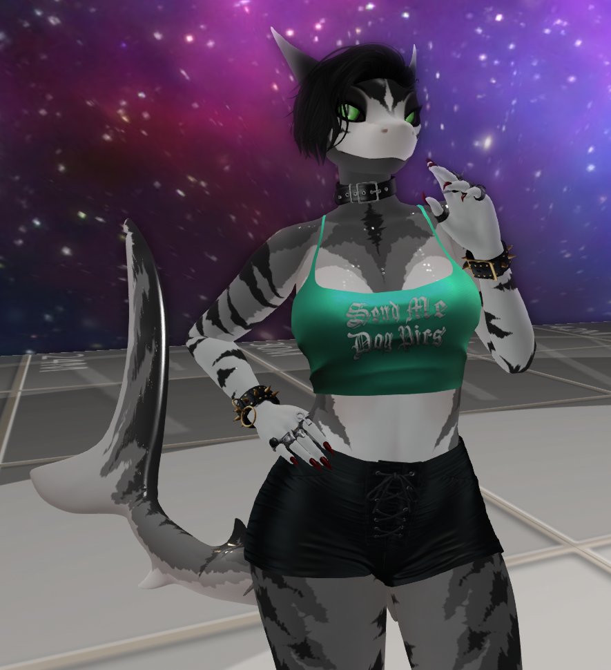 RemiJCrowley's tweet photo. I am shorkie! One of the rare Beans Shorkie mods at the #GachaGuild event going on in #SecondLife 
#furries #slfurries #secondlifefurry #shorkies https://t.co/YcO0XmoH6G