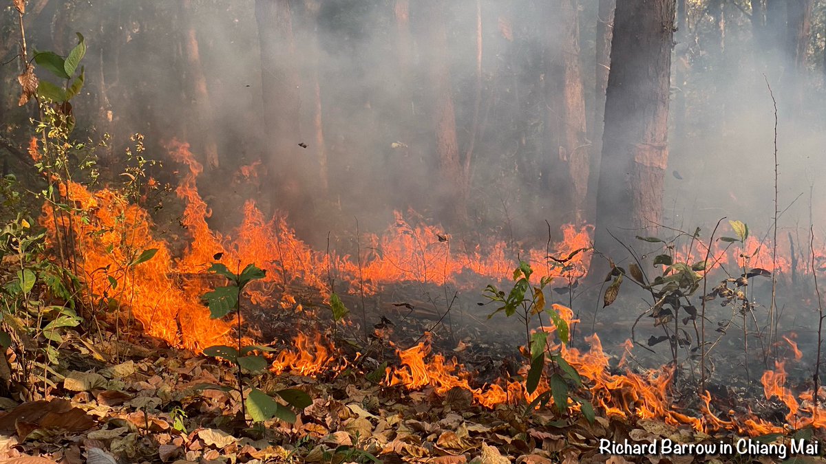 Richard Barrow tweet media