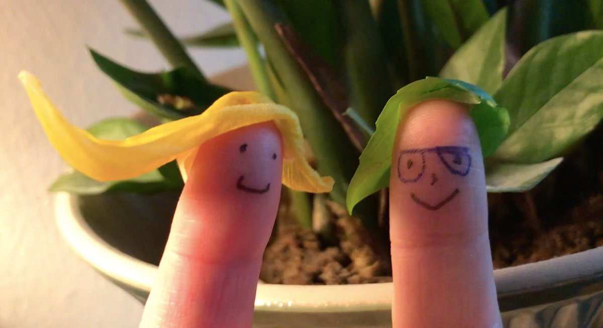 improhelsinki's tweet image. Creating videos for our support members. This story was requested as a gift to a 6 year old.