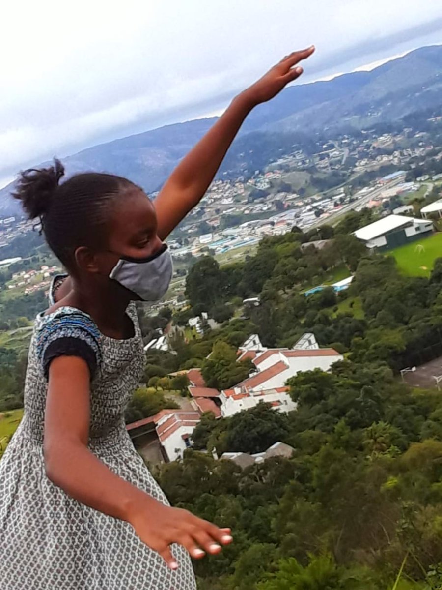 Imagine Scholar tweet media