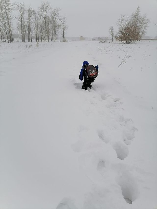 lentaruofficial's tweet photo. А вот так ходит в школу омский первоклассник. Точнее, ползёт — по 3,5 километра в одну сторону. Сугробы по колено взрослому человеку, но местные коммунальщики бездействуют. Мама школьника рассказывает, что «он уже ничего не хочет». Кажется, ребёнок понял жизнь слишком рано https://t.co/wKUBq6wnqe
