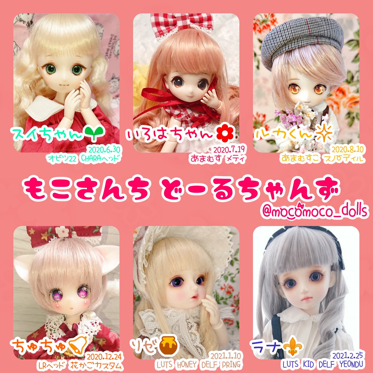 注文 花かごの小部屋さま ピグミー ピグミー・S サニー 1/12 花かごの