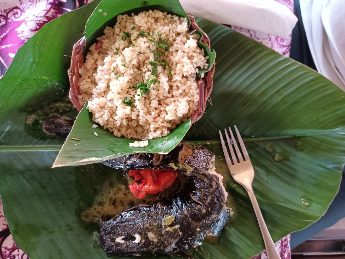 TabiJoda1's tweet photo. Some people are asking what does #PlanetBasedDiets mean? Pls help someone know @SophieHealyThow @IamVictorMugo @davidnabarro @lanaweid @Khunga_Mike @MarieClaireGraf @FoodSystems @AdamGerstenmier @cmfrick @davidnabarro @Agnes_Kalibata @WWFLeadFood @Pramisha_ @yugratna @PhiriYunike https://t.co/BgxvG5WKnK