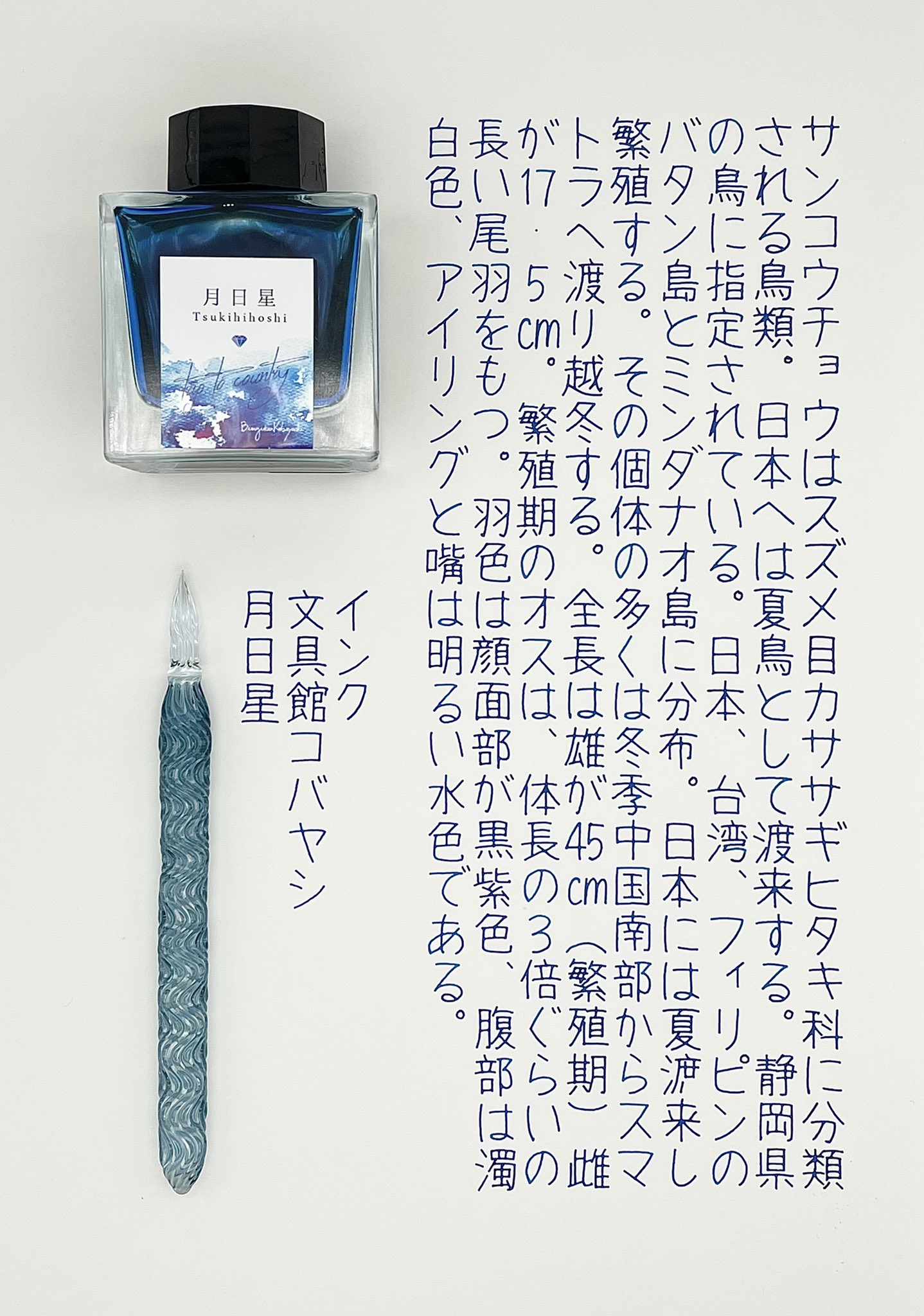 文具館コバヤシインク5個　薄暮山景、月季、月日星、駿河湾春、駿河湾夏 静岡インク - 文具館コバヤシ