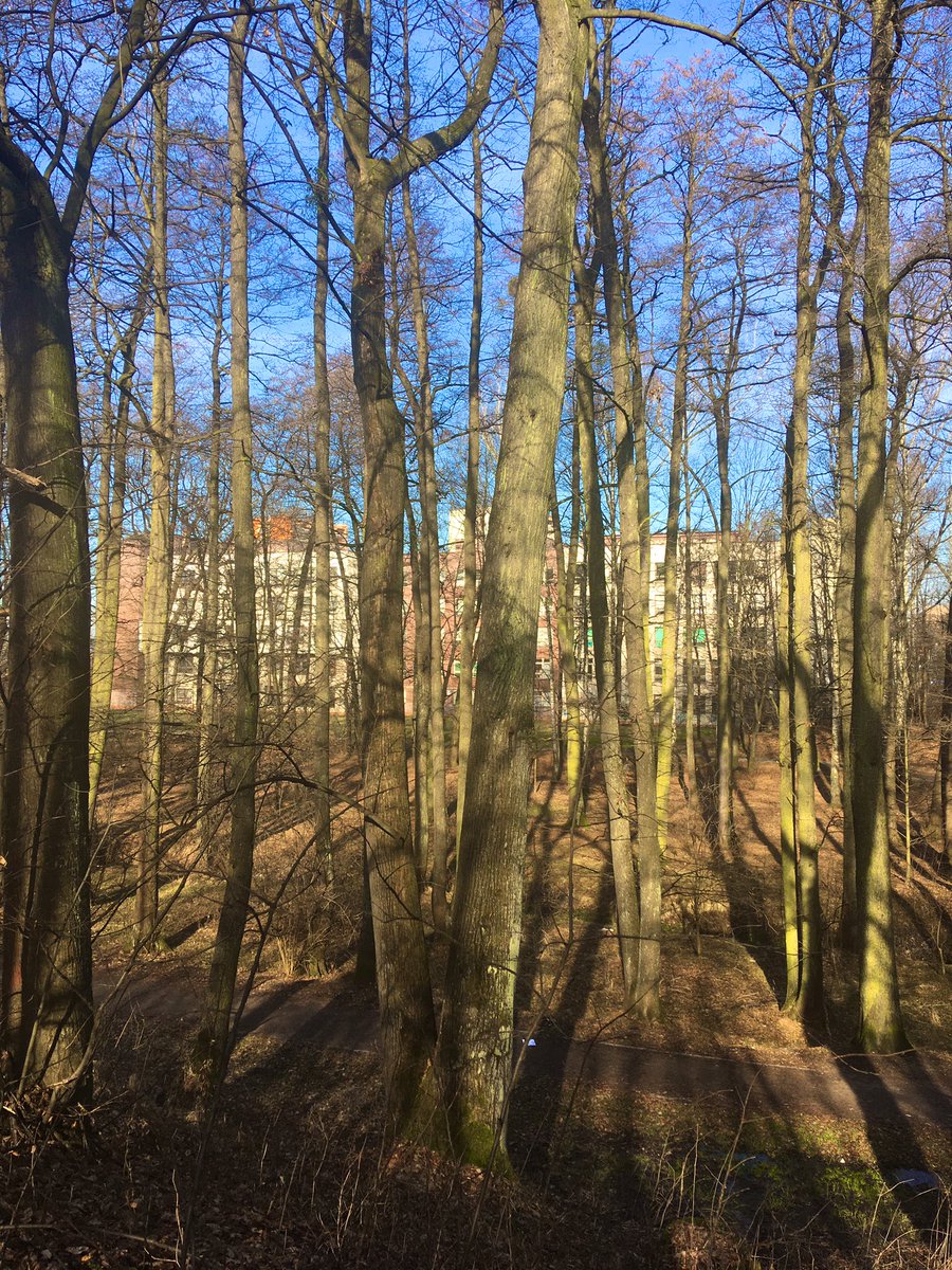 hugoha6's tweet photo. Něco málo z #mujkatastr Karvina. #lesoparkdubina je jedno se zelených útočišť v našem, podle mnohých černém městě.
Přes určité věci to tu mám rád a rozhodl se s rodinou zůstat. https://t.co/BxvOONAqi8