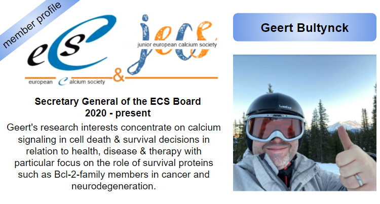 EuroCalcium's tweet photo. Introducing ECS member Geert Bultynck @LMCSLeuven: Secretary of the ECS board! #ECSmemberprofile #ECSboard
For more information about Geert’s research at KU Leuven, Belgium @KU_Leuven: https://t.co/9Ca9IGkIRV https://t.co/fpa2Yrcrxh