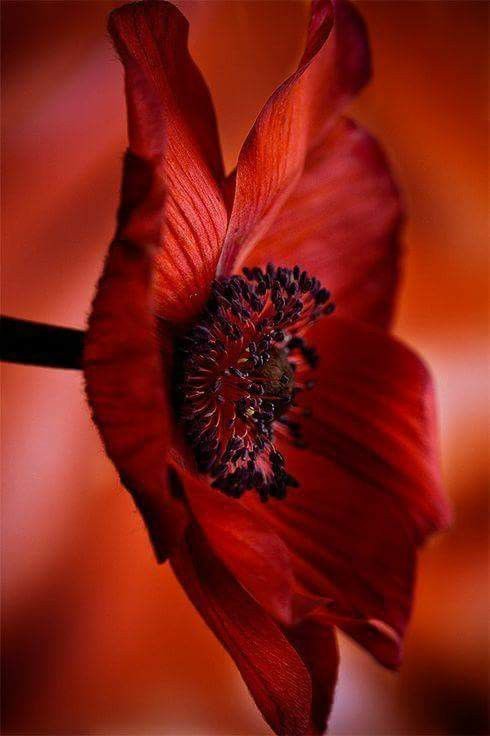 nikipitic (@nikipitik) on Twitter photo 