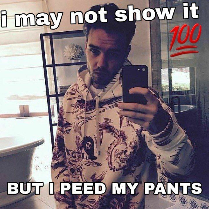 lostyamind's tweet photo. my favorite memes are liam payne memes https://t.co/3WUg2SOOcv