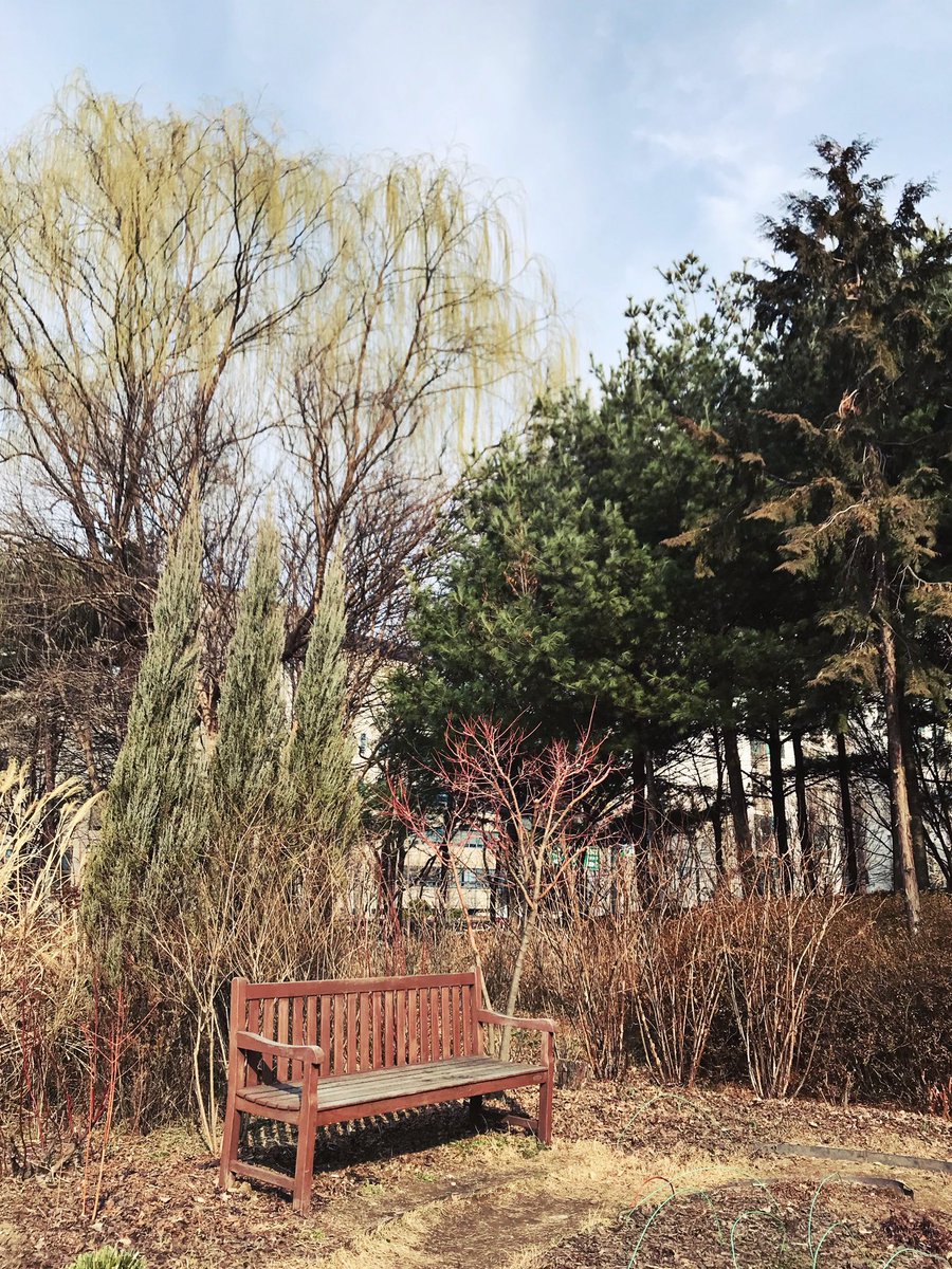 cafeholmes2012's tweet photo. 일요일 오후 산책. 백만년 만에 극장에. 정이삭 감독의 <미나리>, 좋네요. https://t.co/6ghuYMCWU1