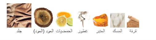 LATTAFA – VELVET OUD عطر من شركة لطافة ثبات جدا قوي مع سعر منخفض 10دولار