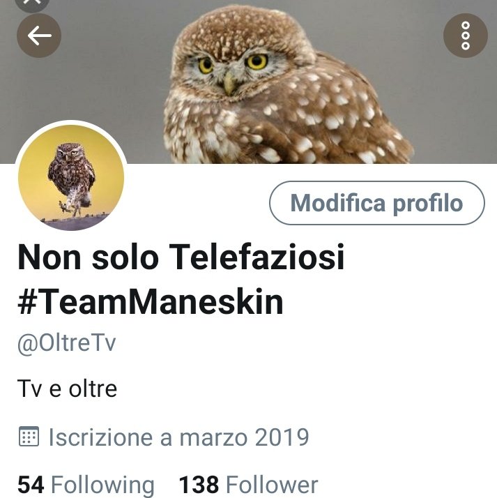 simplyGiorgio's tweet photo. @famigliasimpson @AgoCannella @misterf_tweets @napoliforever89 @Tvottiano @enrick81 @MiChiamoFranco @BALDINIPAOLA @tw_fyvry @CIAfra73 @Federic01996 @SfideTv @ilfanaleoff @Matt85Mortal @Montes1301 @DarioL46 @MasterAb88 @rebeka4711 @alessio_gaudino @Gi01992 @ZeusMega @ilGerrino92 @AngryMercurio @queenmarii1993 @filmdaltritempi @EnfantProdige @Ninanina1215 @CorneliaHale94 @borraccino_ @_Alessio_88 @Guasty95 @Skery_Movie Io tutta la settimana avevo aggiunto #teamManeskin al nome del mio profilo, sono molto soddisfatto della vittoria a #Sanremo2021. https://t.co/mYp1iD7lCh