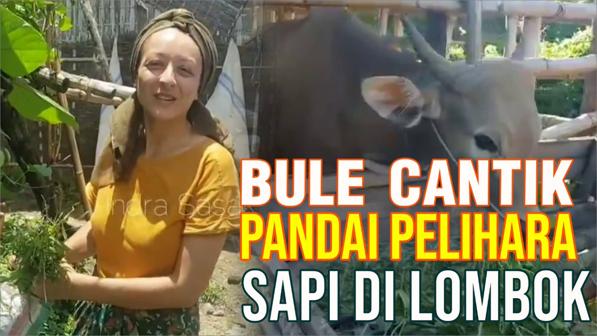 sapibagus_com's tweet photo. Bule Cantik Asal Prancis Pandai Pelihara Sapi Bali Di Lombok
•
Selengkapnya tersedia di website sapibagus dilink berikut https://t.co/I1tVyw4qJ0
Vidionya bisa ditonton di link berikut https://t.co/pHrjO7y7yy
•
WA : https://t.co/MwkyfGc78k
•
#sapibali #bulecantik #peliharasapi https://t.co/ZDmBMeopLV