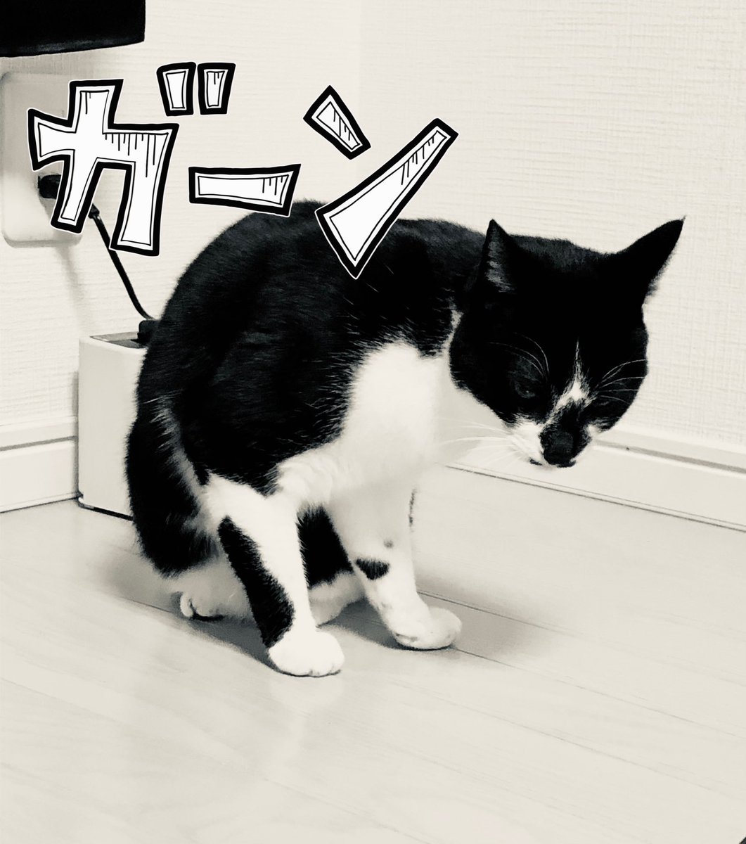 よいまる 上野 御徒町 湯島で飲み歩き 41x41x Twitter よいまる 上野 御徒町 湯島で飲み歩き 41x41x Twitter