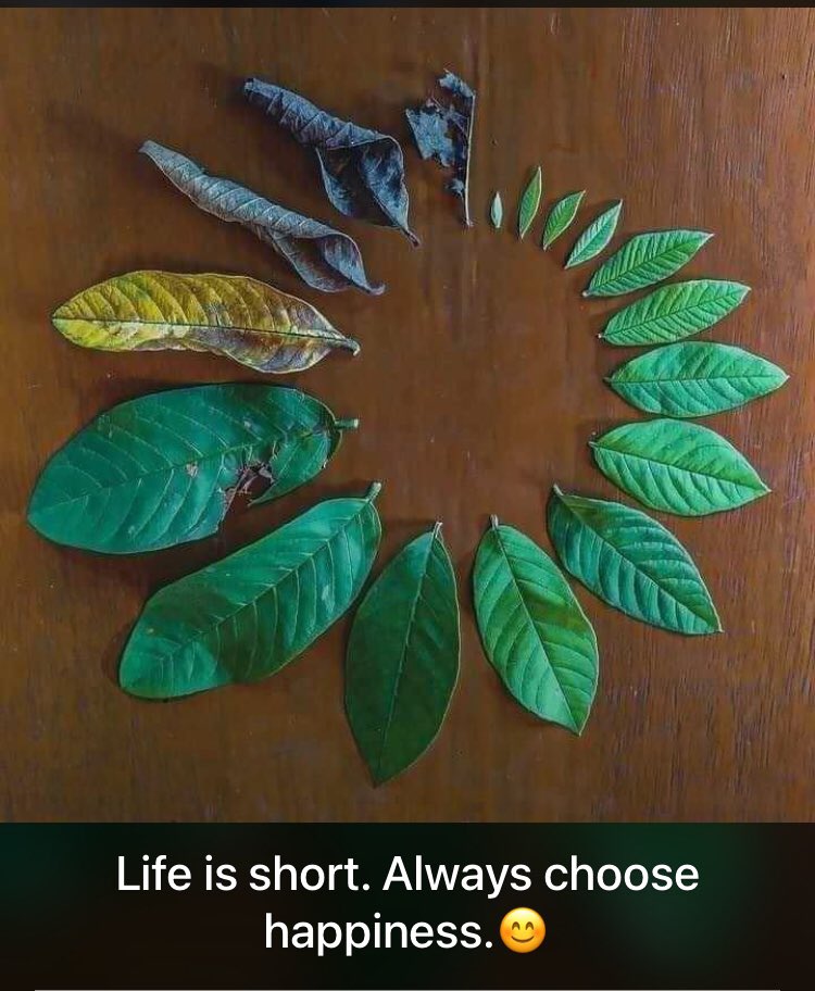 NeemKaroliBabaa's tweet photo. जीवन को जियो :) https://t.co/hlP5hfGsQn