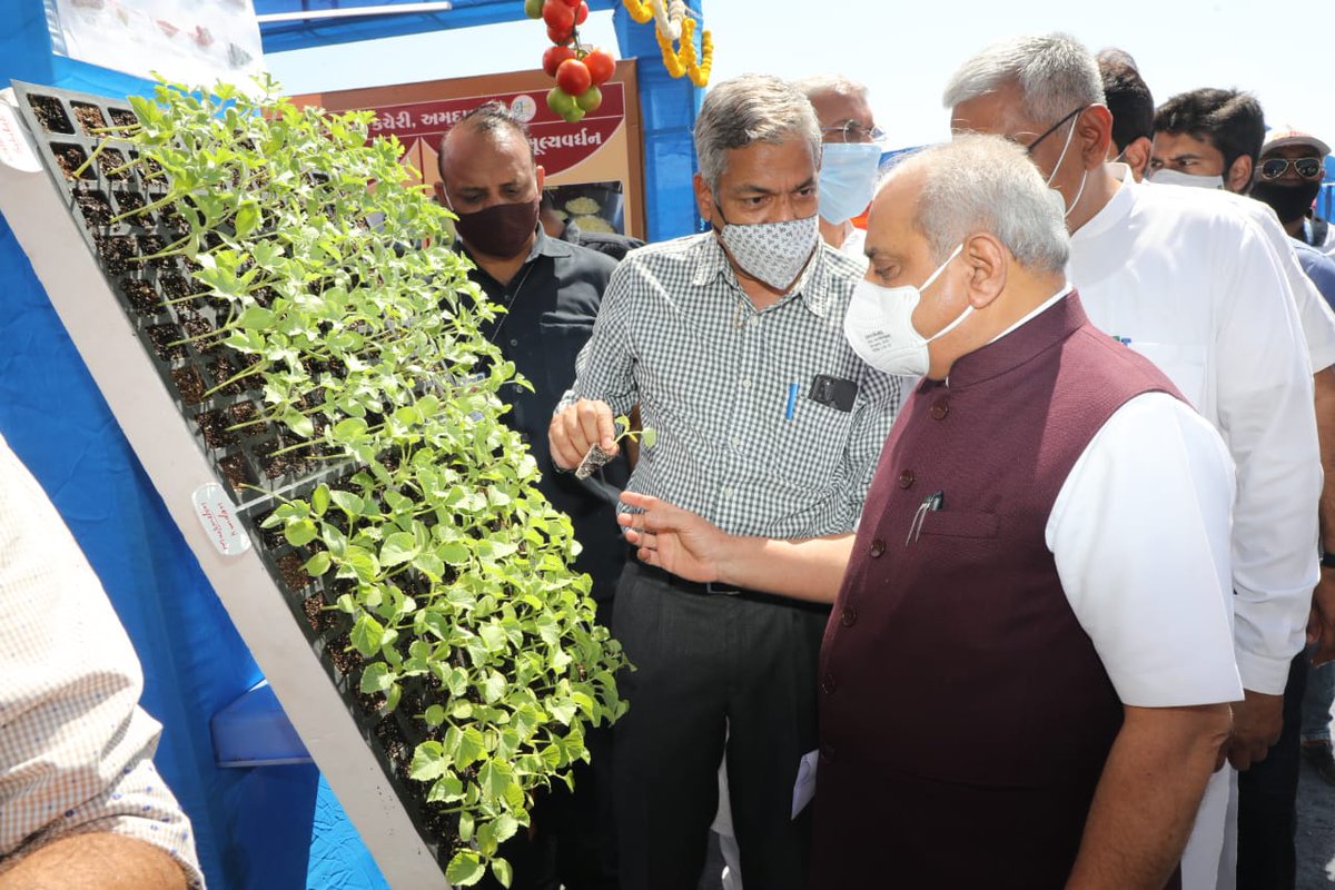 DMM CERIATION PVT. LTD. (Maheshk77926433) Twitter