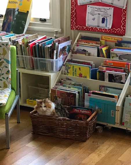 "Love Reading Week" <a href="/iics1911/">IICS</a> took on many forms this year, from "Favorite Character Dress Up Day" to "Bring Your Favorite Bedtime Story Day" to Dr Suess read-alouds.  On campus and online... all for the love of reading. Even Fluffy the cat got into it at Hisar!