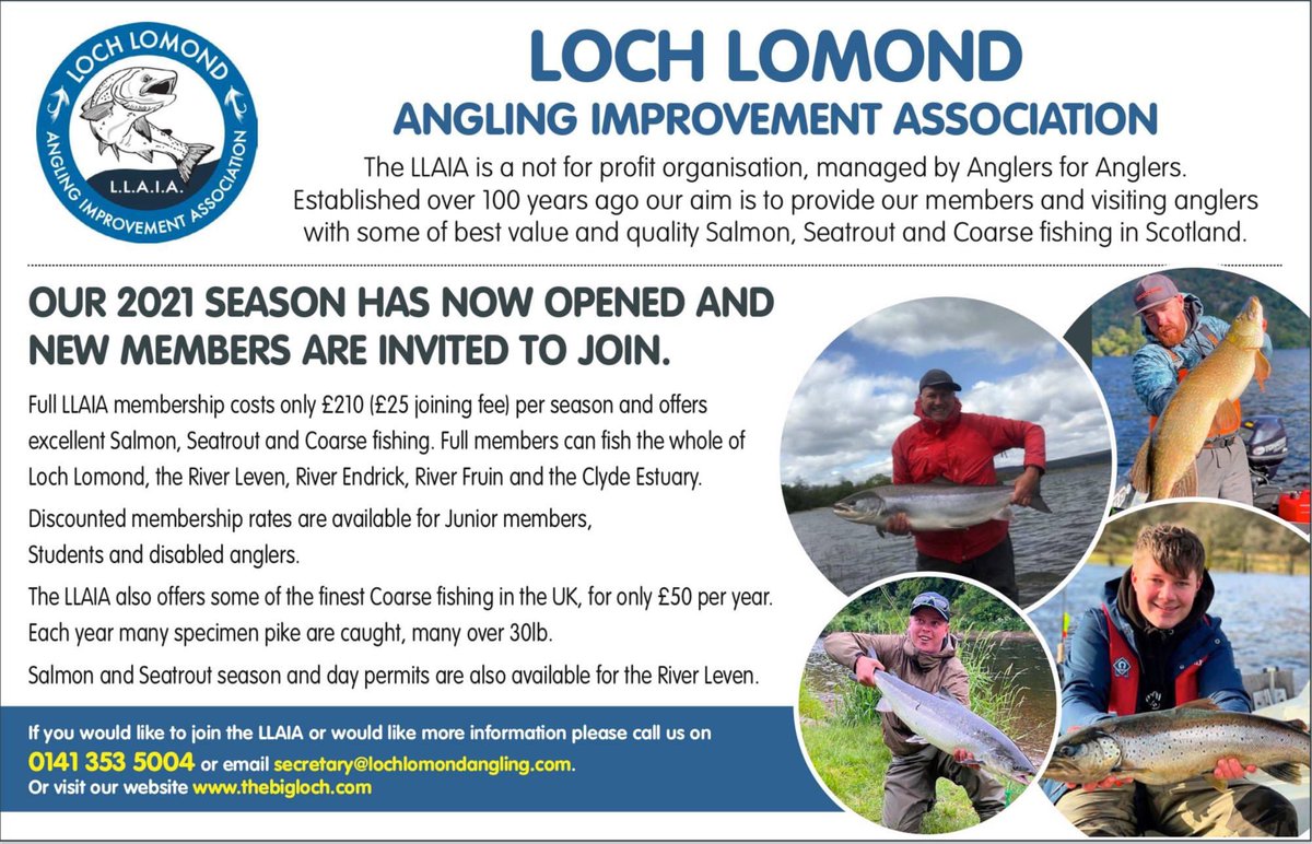 LomondAngling's tweet image. Fishing is back on the Lomond System and new members are very welcome! Checkout lochlomondangling.com/membership/ for more info. 

#lochlomond #flyfishing #fishing #coarsefishing #scottishfishing #riverendrick #riverleven #riverfruin #clydeestuary #scotland