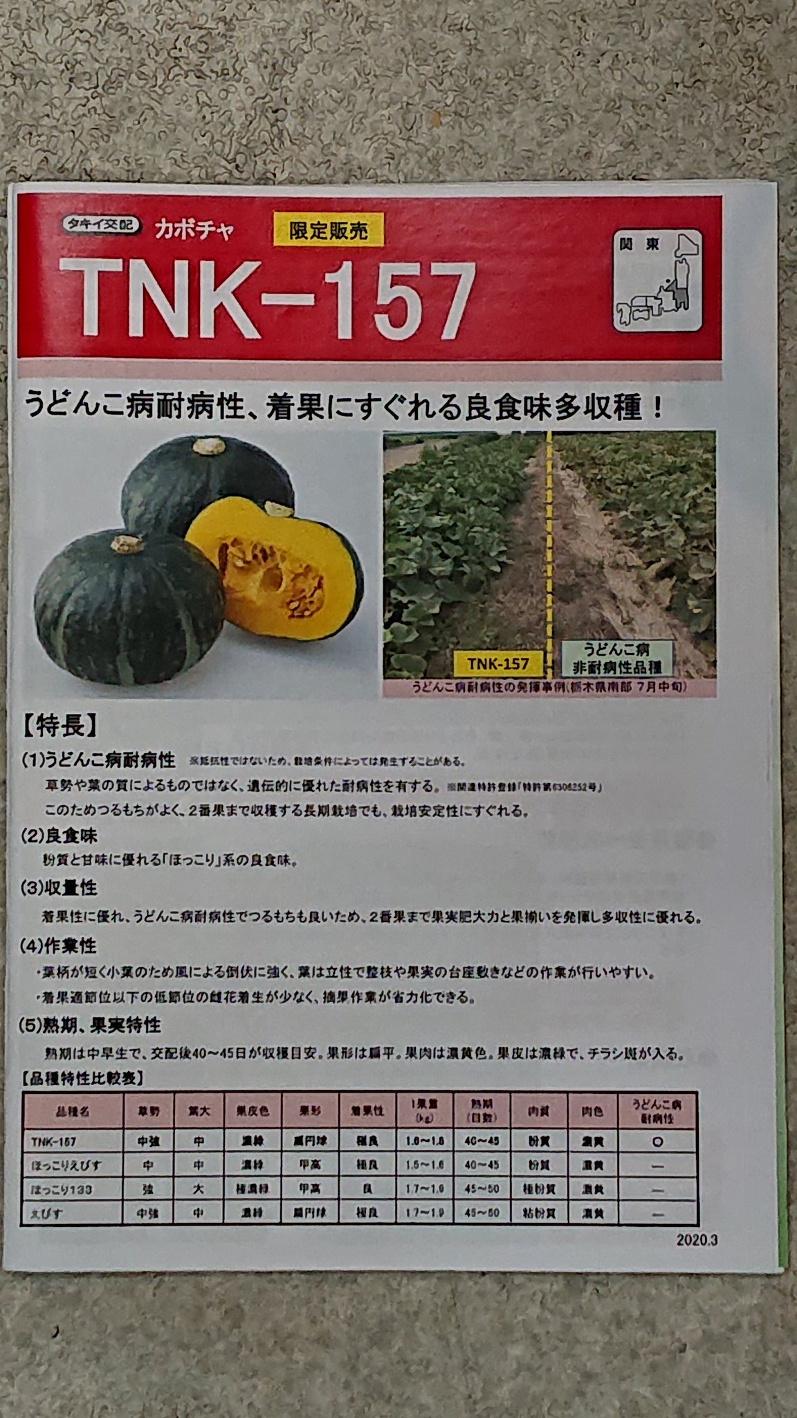 オンダのタネ 恩田種苗 株 本日はカボチャのお話し カボチャ栽培 でうどんこ病に悩まされている方に朗報です 今年 タキイ種苗よりtkn 157という世界で初めて 遺伝的に極めて強い品種が発表されました 野菜苗のシーズンに苗の販売を予定してい