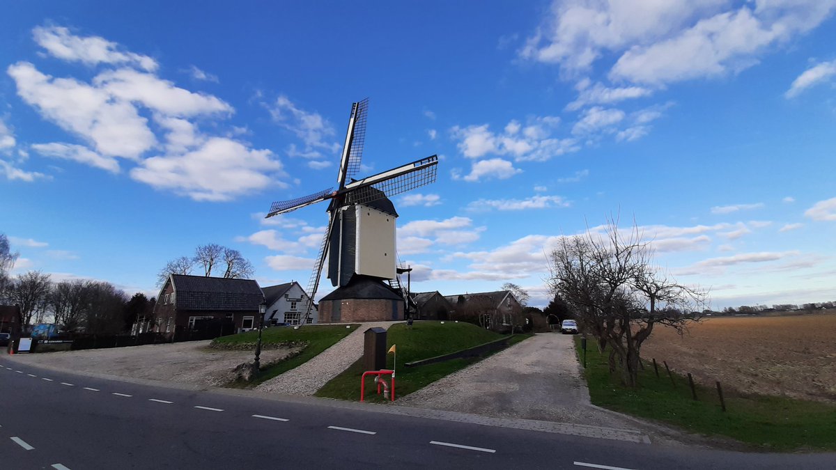 Roy_van_Beek's tweet photo. A very Dutch image. This is the mill #DeVink in the beautiful village of #Herveld, in the #Betuwe region. It was built in 1722 on a #dwellingmound, just like many farms nearby. The risk of flooding was ever present. https://t.co/bX4befABeq