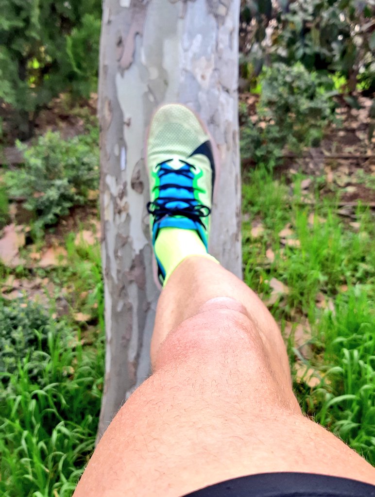 ThorMaes's tweet photo. Después de escuchar ayer el podcast del #SPCV con mi querida @VanRomOni, hoy le dedico mi carrera dominical a mi pedazo de frush.
I love u 😍.
Han caído 16,33 km a 4'29" de media.
#yocorroporti. https://t.co/EExyAV8NrA