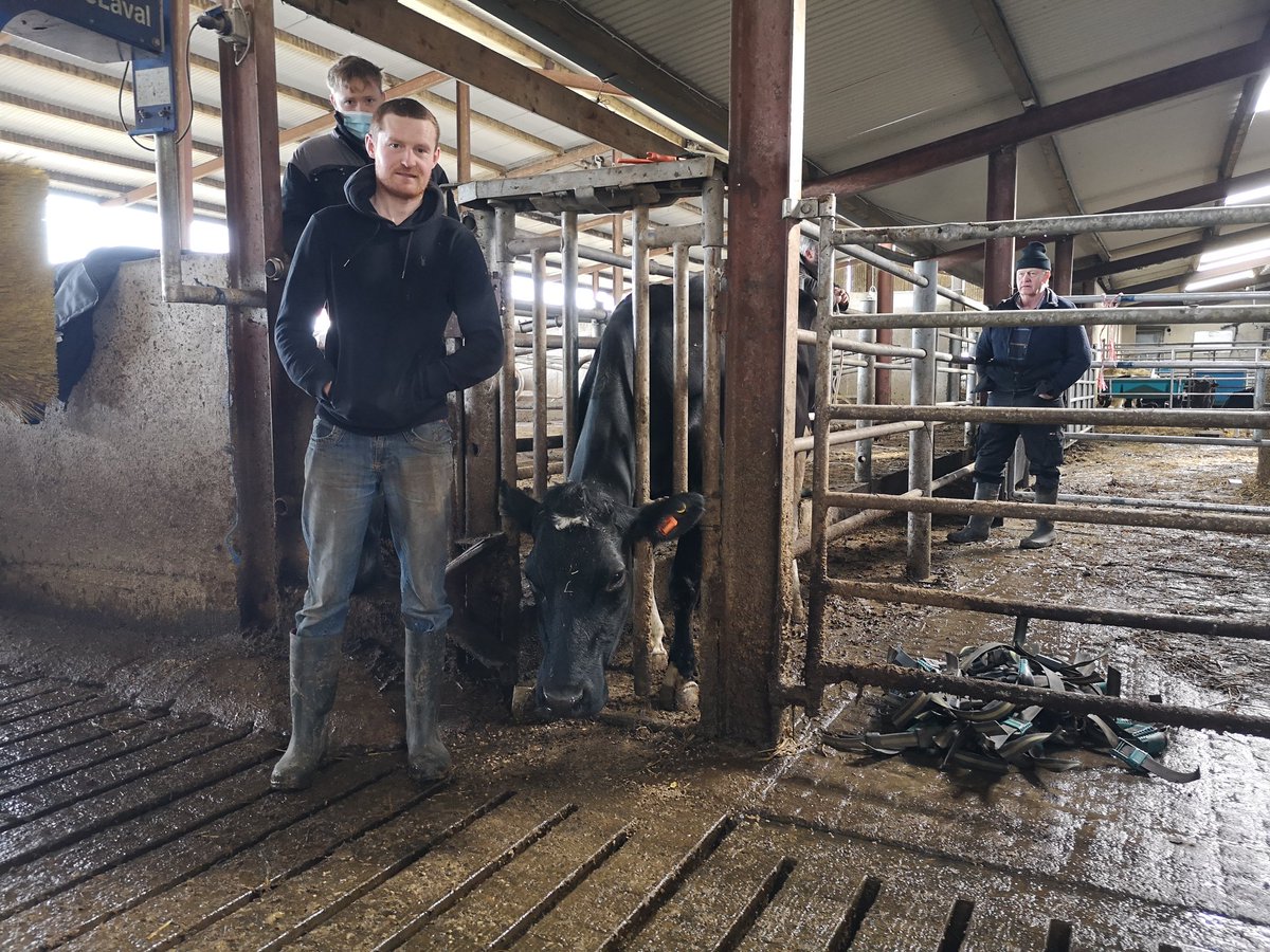 CowManagerIRL's tweet image. Another installation completed yesterday on the farm of @Timmieoleary. This was yet another case of out with the old and in with the new. @CowManager moves with the times with #AutomaticUpdates #RealTimeAlerts #RollingWarranty #HeatDetection #HealthAlerts #NutritionAlerts