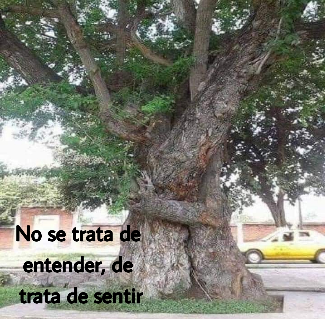 En ventas, es menos importante lo que dices que lo que haces sentir a los demás. El éxito en ventas es una tarea interior. Comienza dentro de ti. En ventas, tu personalidad es más importante que tu conocimiento y determina el 80% de tu éxito como vendedor #ventas #exito