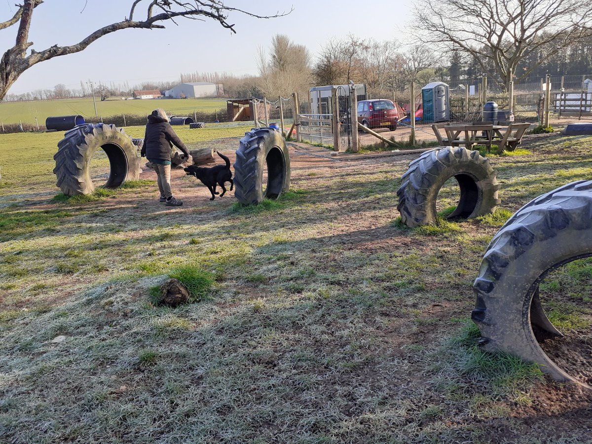 FurbabyPrince's tweet photo. Chilly but been out #k9Rec to day doing #zoomies and ball chasing, #freedom #dogsafe all have a good weekend pals๐โ๏ธ https://t.co/AXJMi4jSTJ