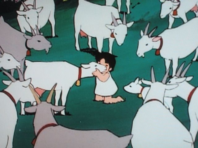 Twitter 上的 Yuri ハイジみたいに 仔山羊を飼ってみたいよね アルプスの少女ハイジ ユキちゃん チーちゃん サンテレビ Wowow Tokyomx ファミリー劇場 バンダイビジュアル バンダイナムコアーツ 宮崎駿 高畑勲 Tokyomx Mcasjp Jp Ghibli Suntv3