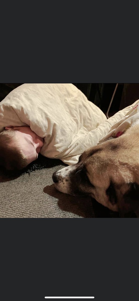 Fabulous Finn®️ tweet media