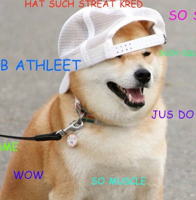 Dogegalaxy3's tweet photo. #DOGEPOWERS
#7SUPERDOGE
#DOGEGALAXY
https://t.co/SbJeJQnUla
#DOGEARMY #DOGEPOWERs #DOGELOVE #DOGEREIKI #DOGESUCCESS #DogecoinToTheMoon #dogeaNGELS #winning #WinnersWin #dogememe #Dogecoins #iManydogecoins4all #justdoitdoge https://t.co/xqfEpXK2wv
