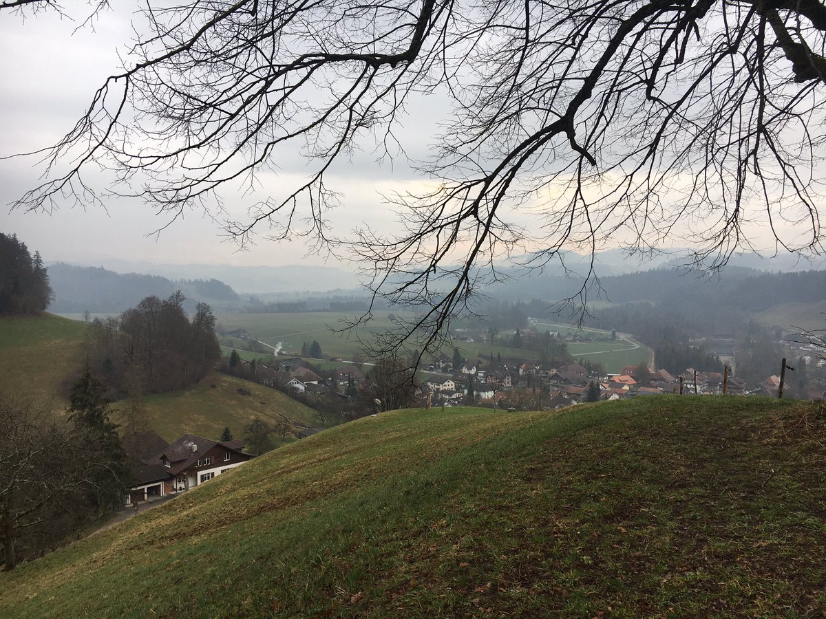 mbinggeli's tweet photo. #spaziergang mit #hunden rund um #lützelflüh im #emmental https://t.co/roQF6nQ3iz