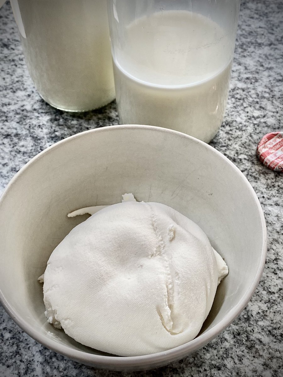 AngelGurriaQ's tweet photo. Please end this lockdown. I have started to make my own cheese. Family is alarmed.
#LockdownCheese #DailyDairy #LactoseForLockdown #AreYouReallyEatingThat
#DeliciousOnCrackers https://t.co/SXyTGr01Ar