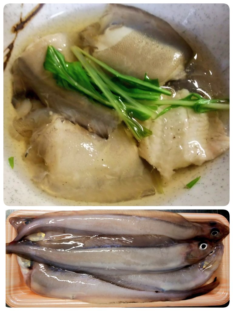 ゲンゲ 幻魚 の美味しい食べ方は すまし汁や唐揚げなどおすすめ調理法や旬について 富山県魚津市の絶品深海魚を紹介 有給の使い方