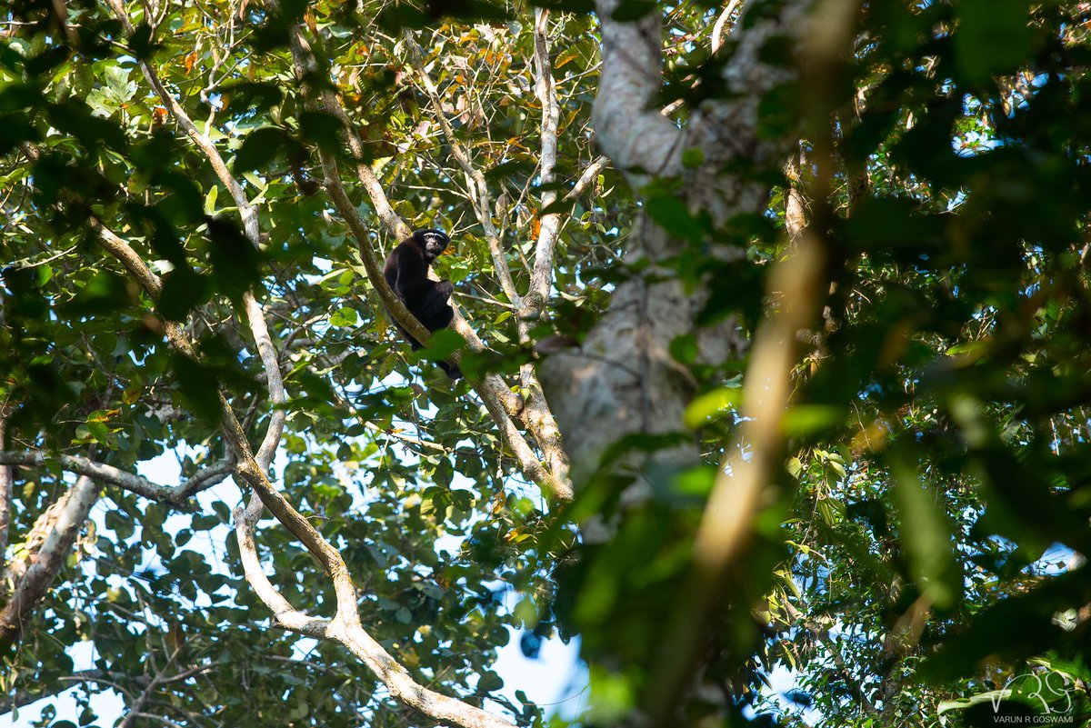 Conservation Initiatives tweet media