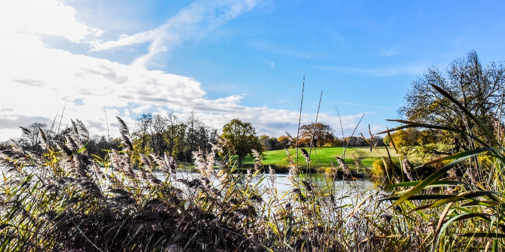 It's #MotheringSunday next week - does your mother love nature? Why not treat her to a wildlife home adoption on Hampstead Heath or a Friends membership giving her access to free walks and talks on the Heath? 

heath-hands.org.uk/support-us
<a href="/CityCorpHeath/">Hampstead Heath</a>