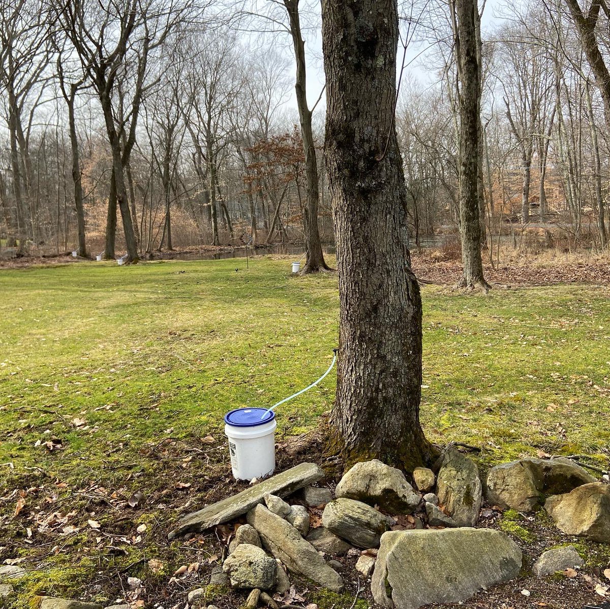 Martin Gitlin tweet media