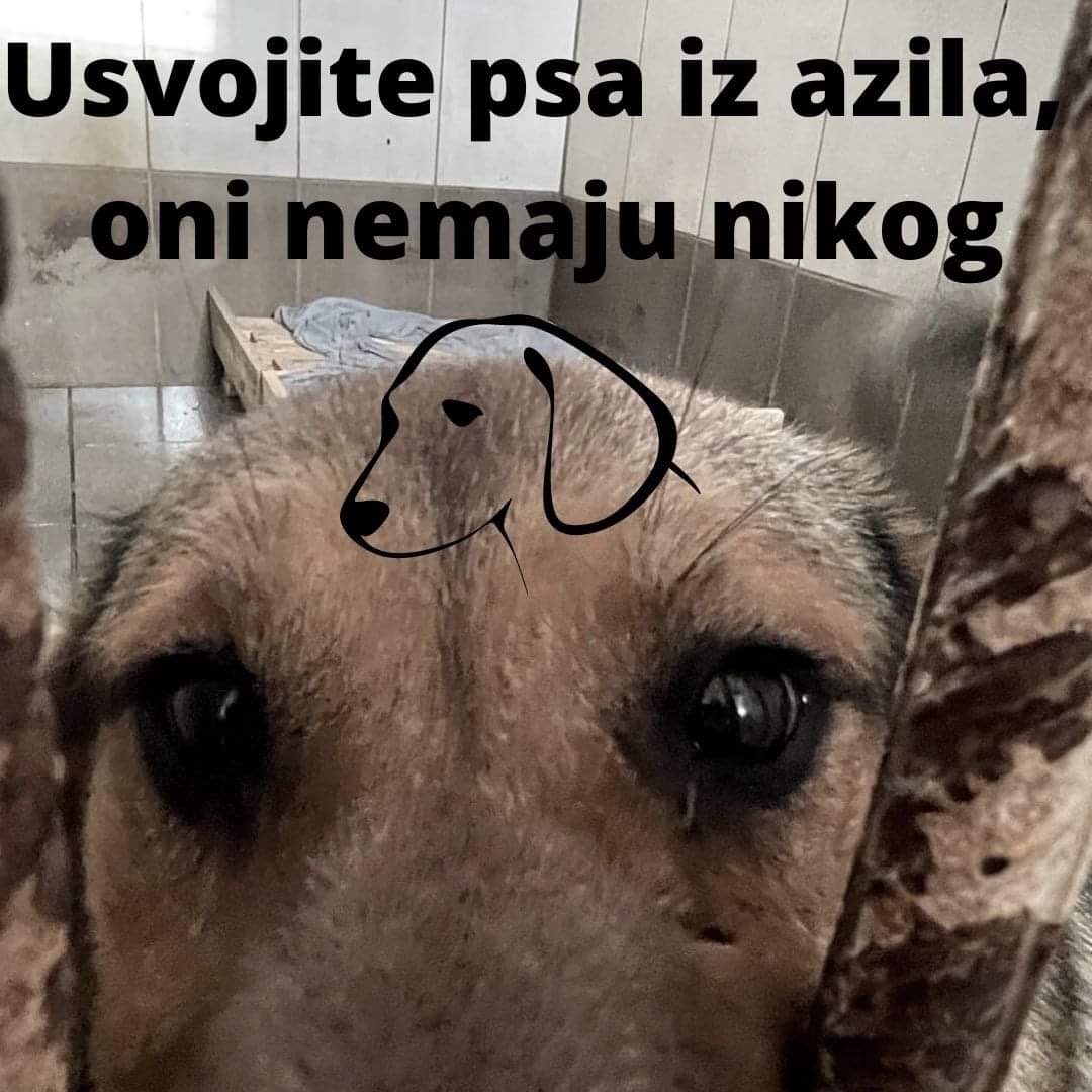 kucica_za_spas's tweet photo. https://t.co/OzKHxUDd6m