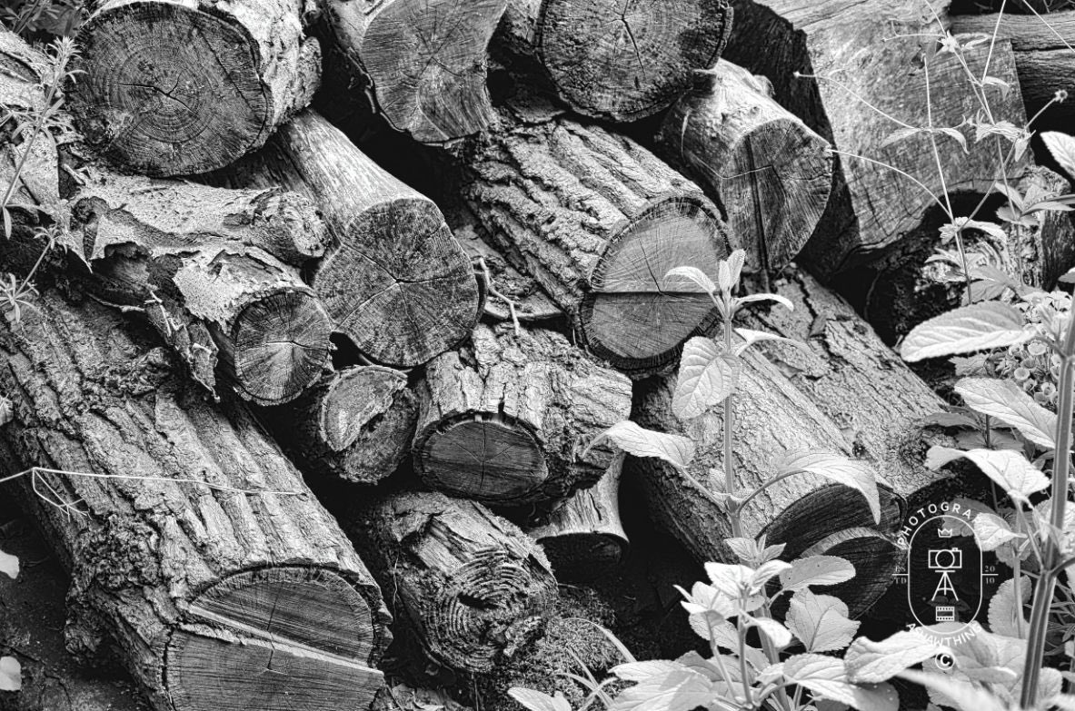 StrategicPlanet's tweet photo. The log pile.
#Photography #Yorkshire #Abstract #Skylum #AShawThing #LuminarAI #Holidays #Rural #Travel #Tourism #logs #Blackandwhite #BlackandwhitePhotography https://t.co/UtiDlx4BoW